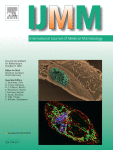 Characteristics of two zoonotic swine influenza A(H1N1) viruses isolated in Germany from diseased patients