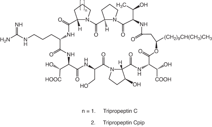 Precursor-directed biosynthesis and biological activity of tripropeptin Cpip, a new tripropeptin C analog containing pipecolic acid