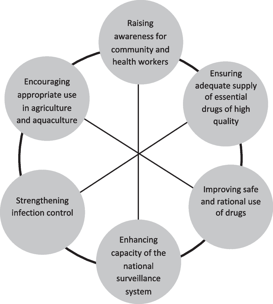 Health system barriers to the implementation of the national action plan to combat antimicrobial resistance in Vietnam: a scoping review