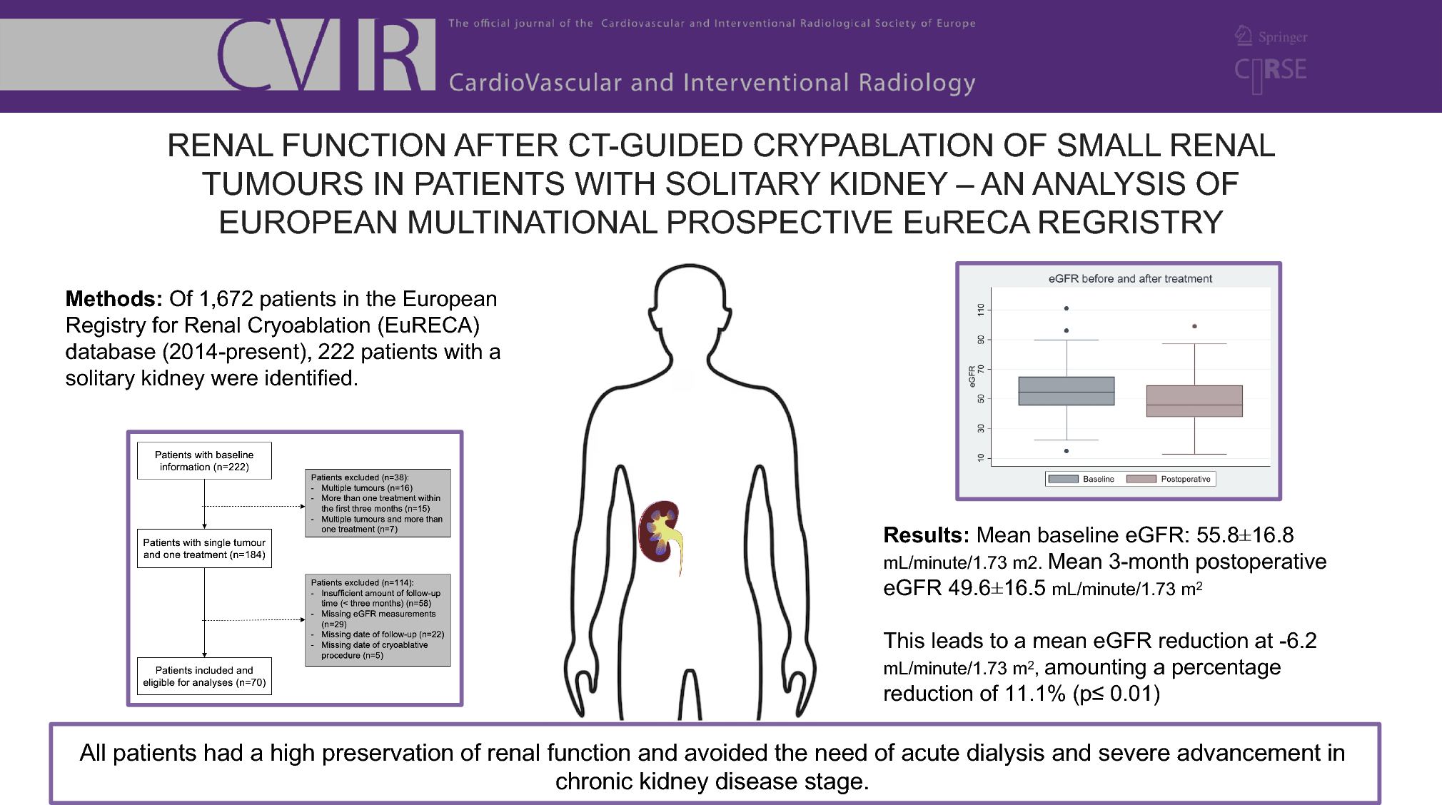 Renal Function After CT-Guided Cryoablation of Small Renal Tumours in Patients with Solitary Kidney: An Analysis of European Multinational Prospective EuRECA Registry