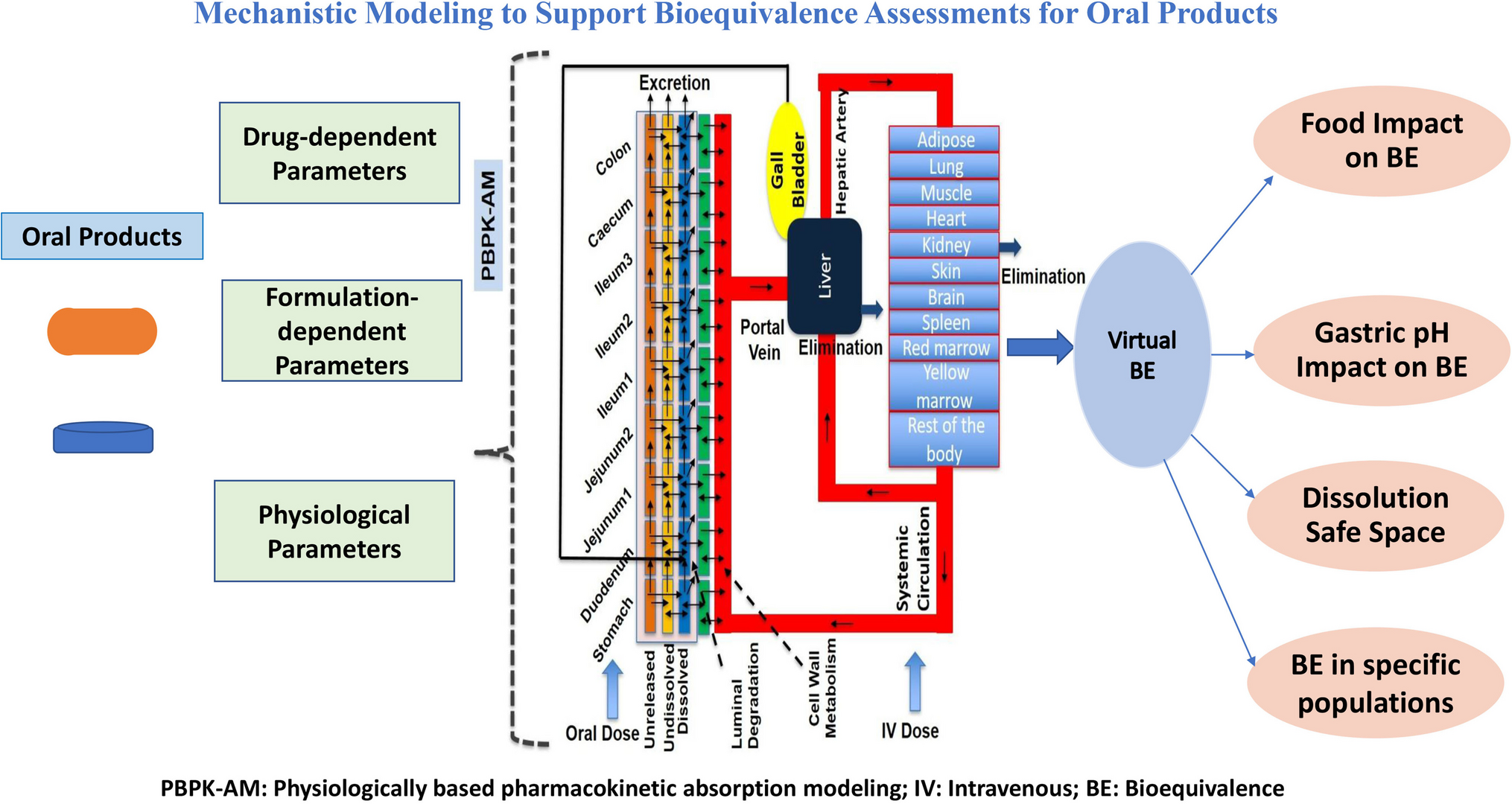Using Mechanistic Modeling Approaches to Support Bioequivalence Assessments for Oral Products