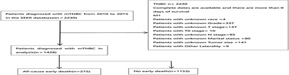 A Web-based Prediction Model for Early Death in Patients With Metastatic Triple-negative Breast Cancer
