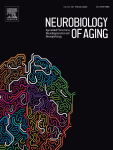 A blood biomarker of the pace of aging is associated with brain structure: replication across three cohorts