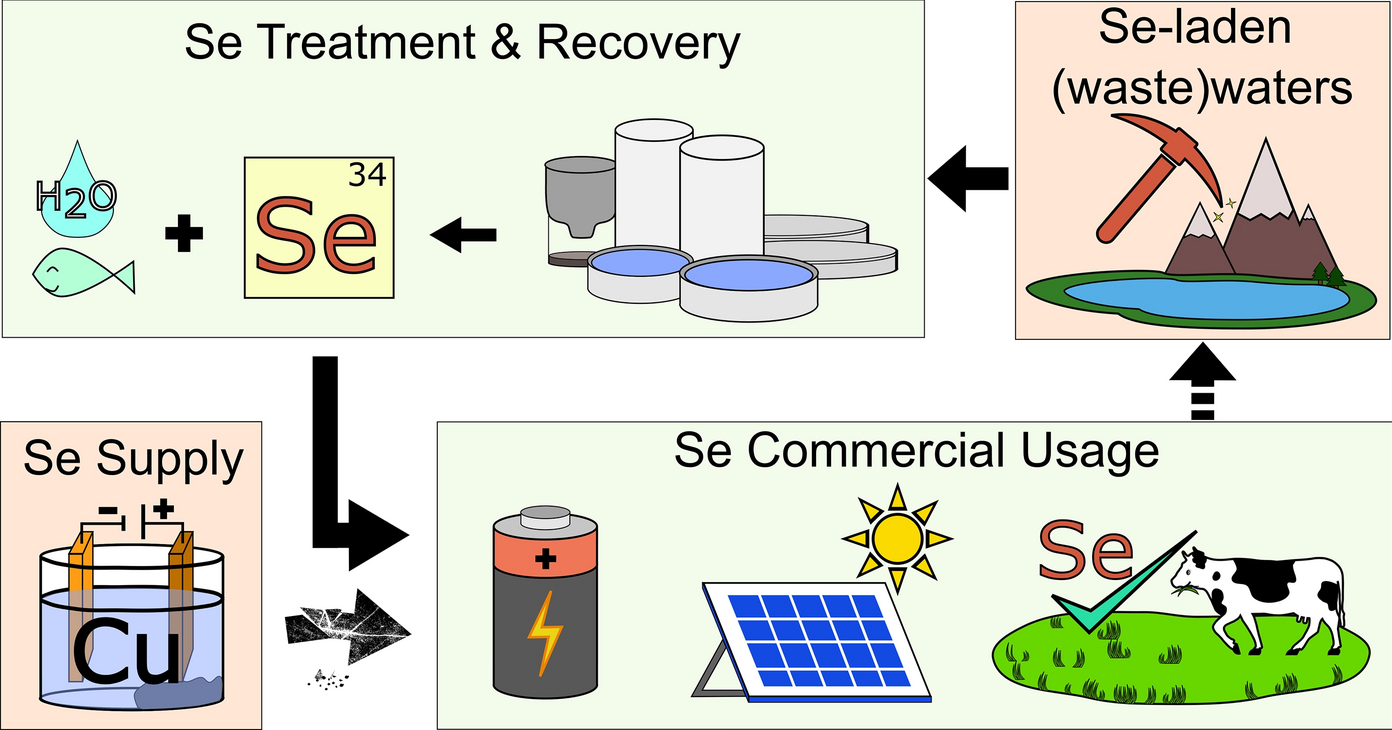 From contaminant to commodity: a critical review of selenium usage, treatment, and recovery