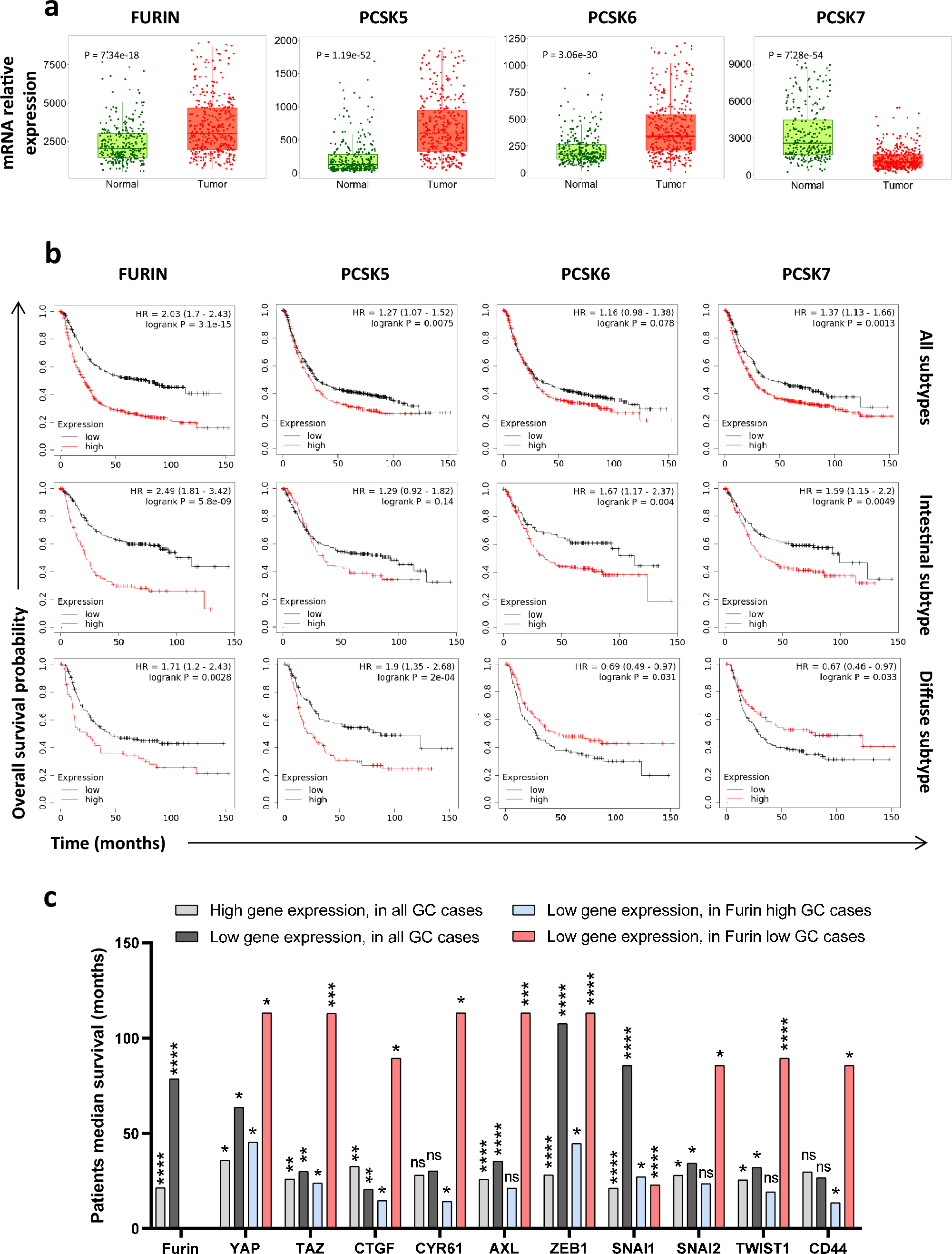 Inhibition of proprotein convertases activity results in repressed stemness and invasiveness of cancer stem cells in gastric cancer
