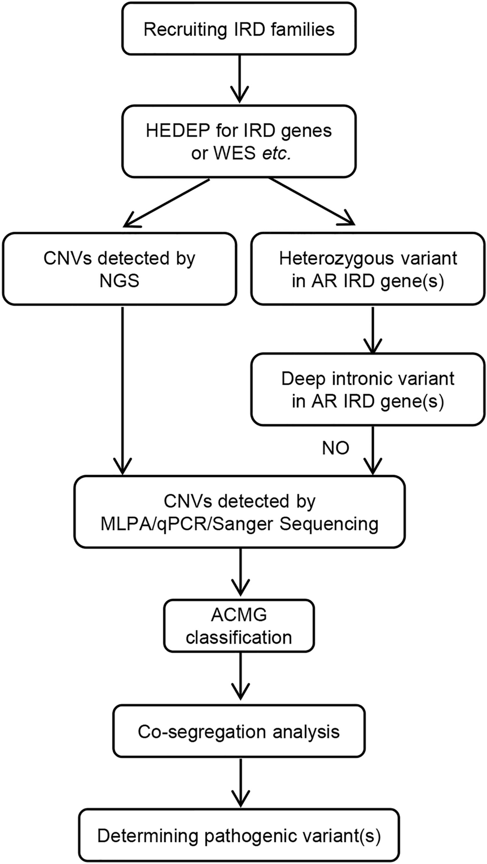 Screening copy number variations in 35 unsolved inherited retinal disease families