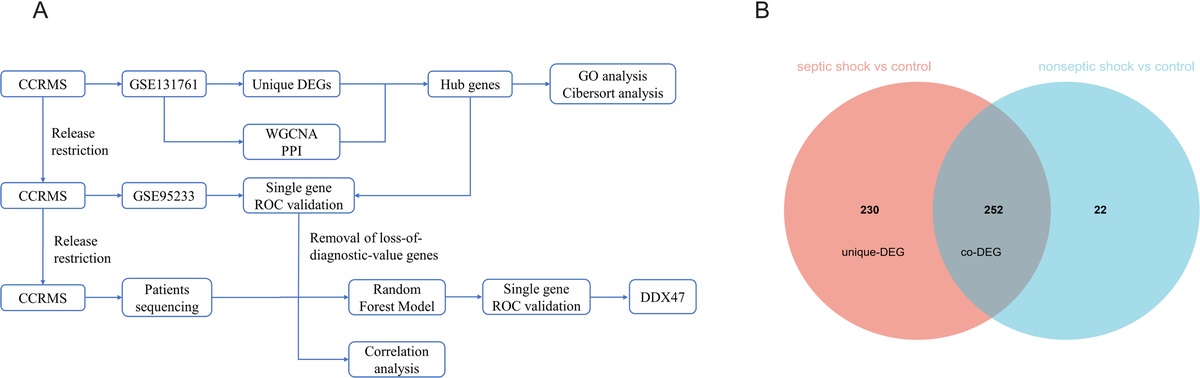 BIOINFORMATICS APPLICATIONS UNDER CONDITION CONTROL: HIGH DIAGNOSTIC VALUE OF DDX47 IN REAL MEDICAL SETTINGS