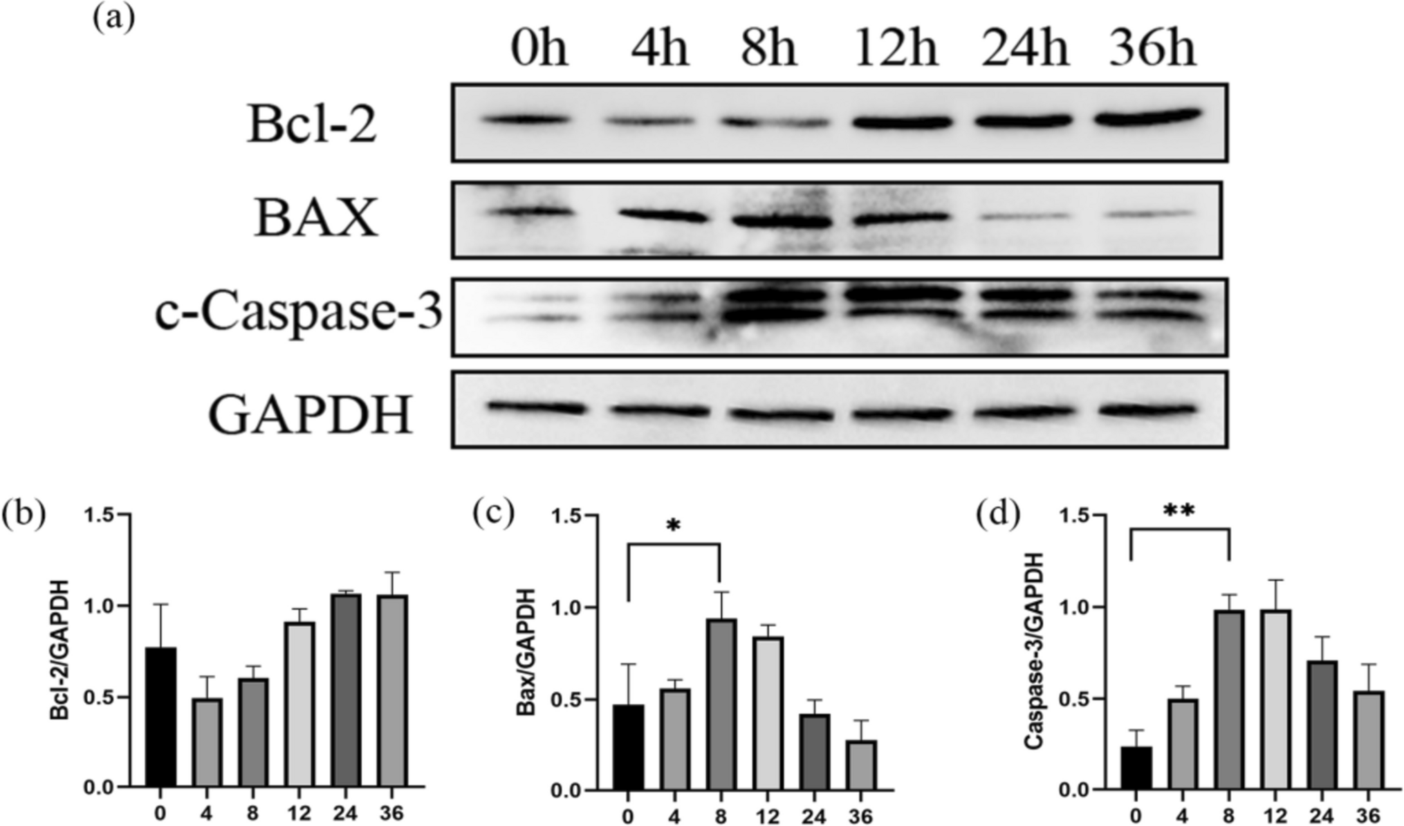 Short-term postmortem interval estimation by detection of apoptosis-related protein in skin