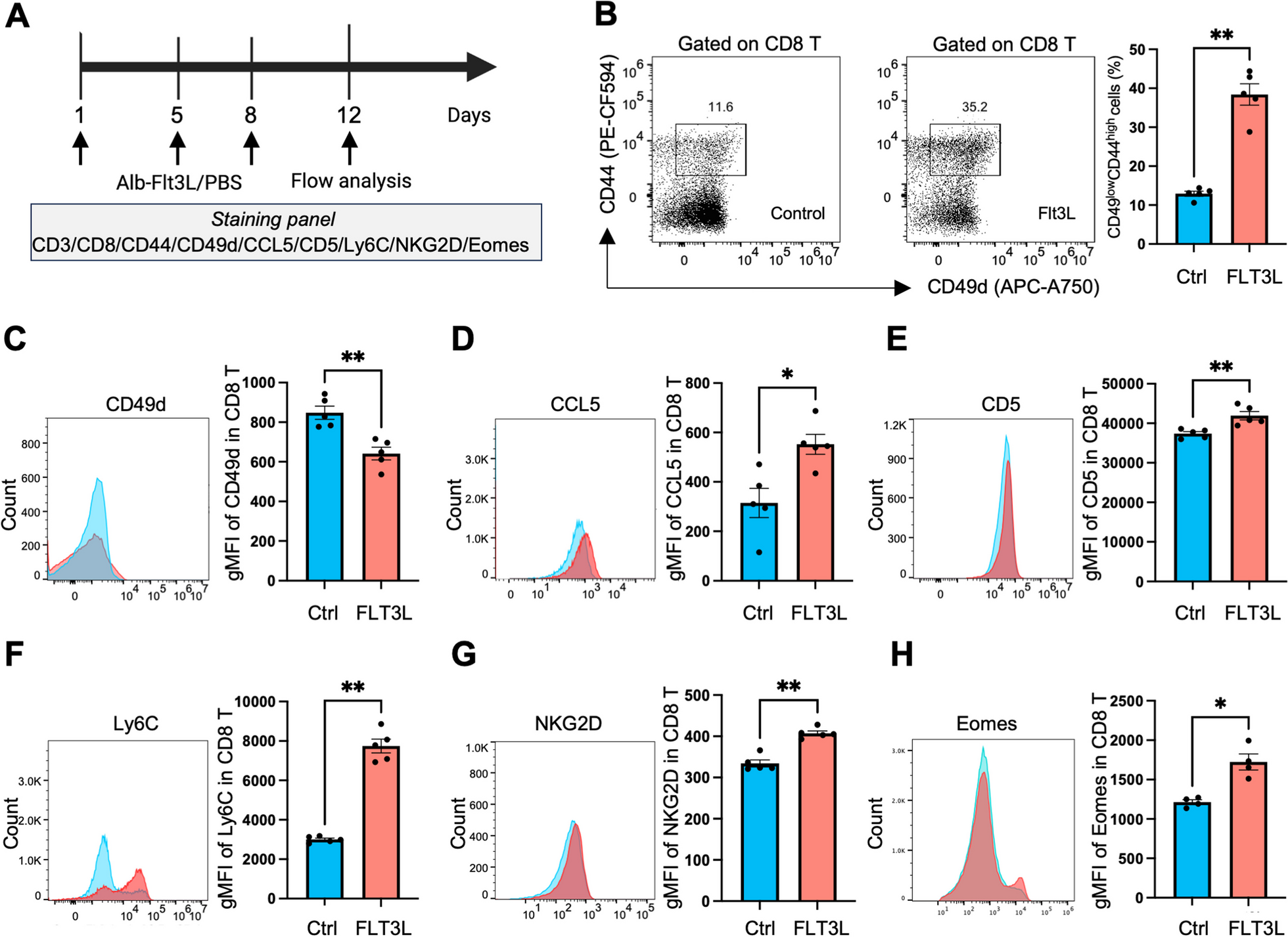 FLT3L-induced virtual memory CD8 T cells engage the immune system against tumors