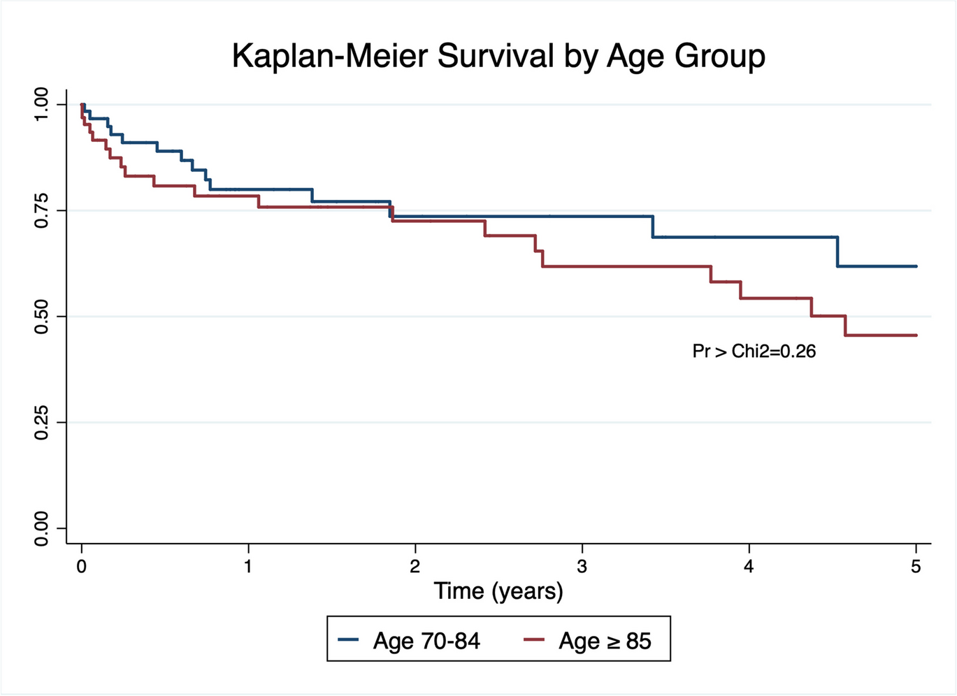 Extreme-aged patients (≥ 85 years) experience similar outcomes as younger geriatric patients following chronic subdural hematoma evacuation: a matched cohort study