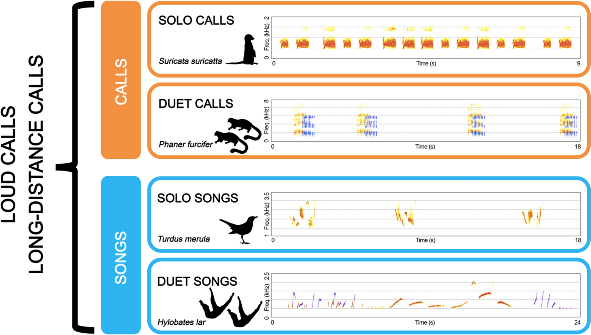 Who you live with and what you duet for: a review of the function of primate duets in relation to their social organization