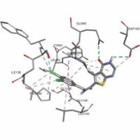 Synthesis, in silico and in vitro antimicrobial activity of N-(benzyl)-5-methyl-4-oxo-3,4-dihydrothieno[2,3-d]pyrimidine-6-carboxamides