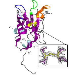 Deciphering the crystal structure of a novel nanobody against the NEIL1 DNA glycosylase