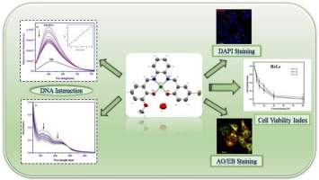 Monomeric copper(II) complexes with unsymmetrical salen environment: Synthesis, characterization and study of biological activities