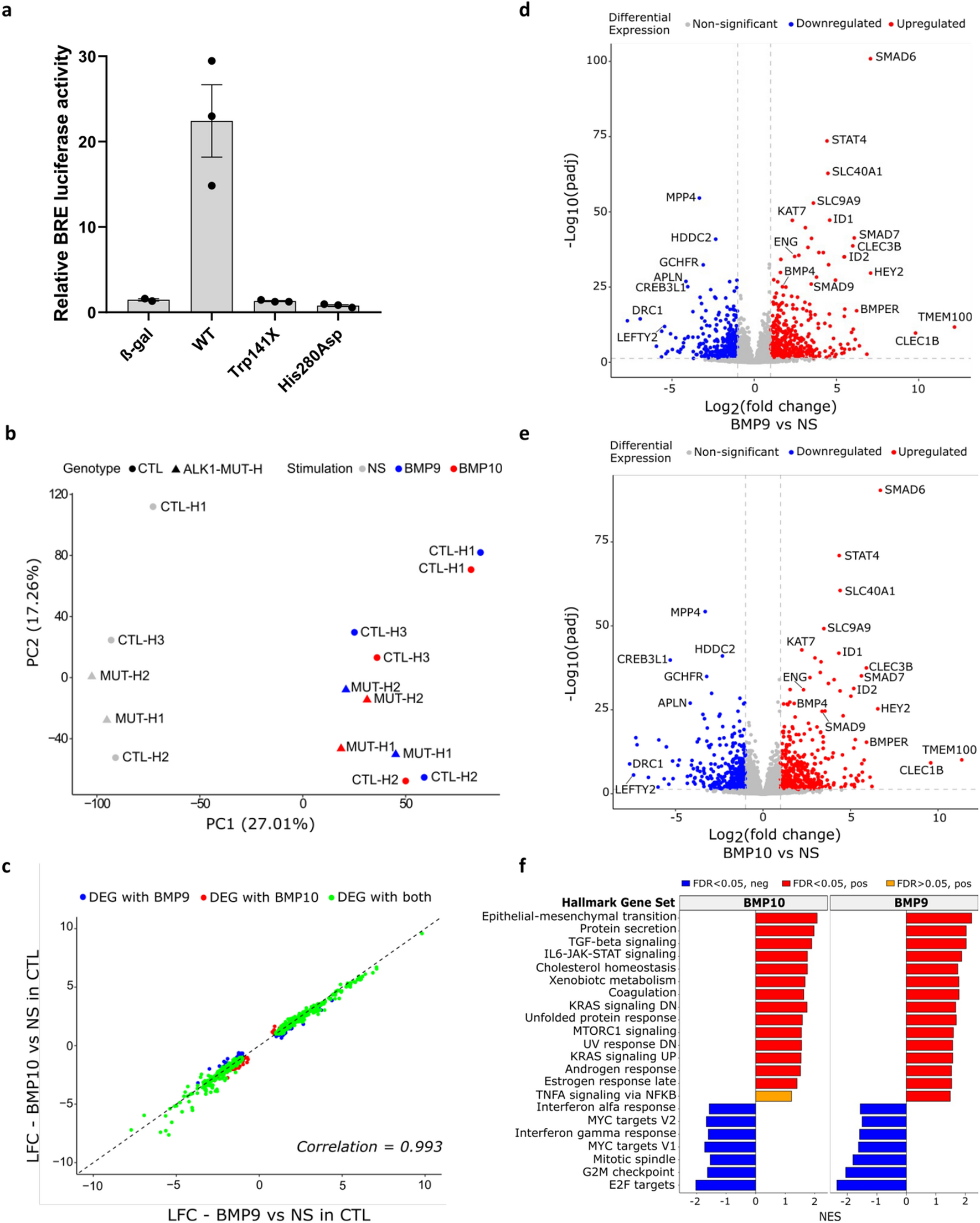 Impact of heterozygous ALK1 mutations on the transcriptomic response to BMP9 and BMP10 in endothelial cells from hereditary hemorrhagic telangiectasia and pulmonary arterial hypertension donors