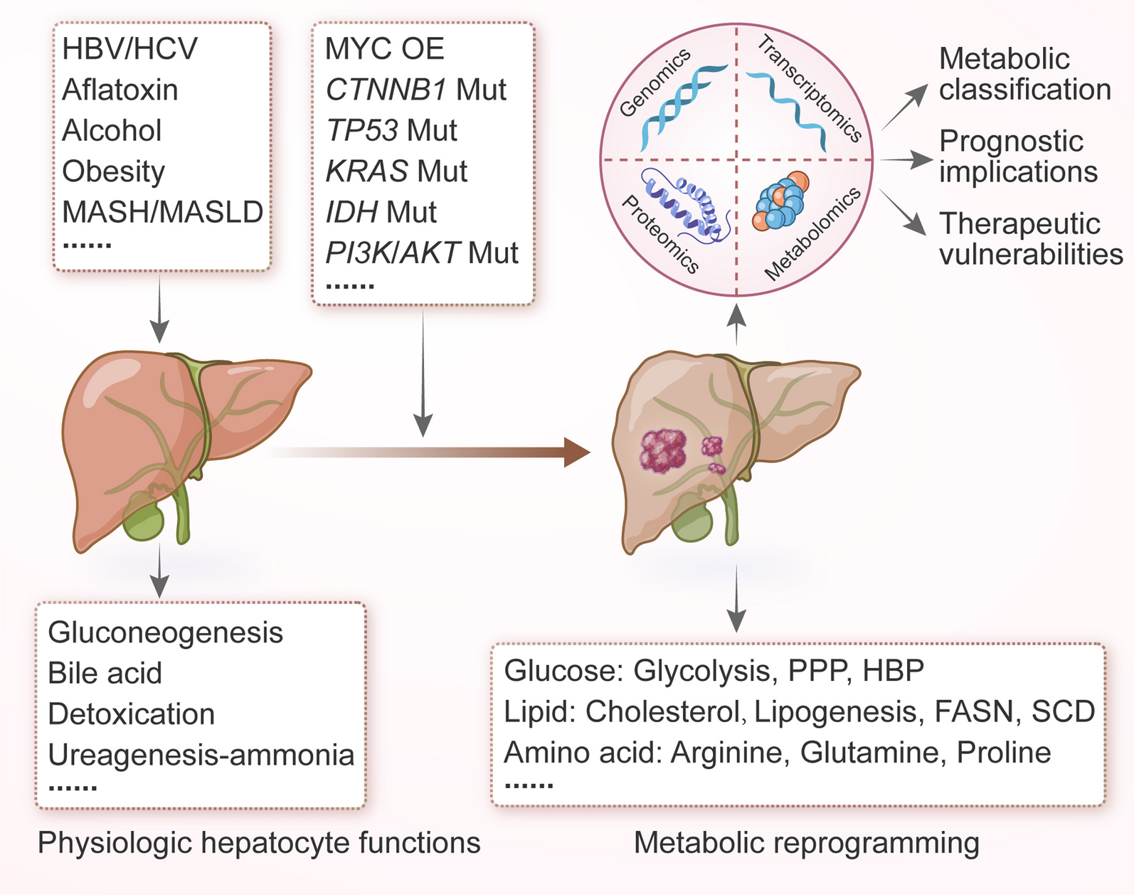 Metabolic reprogramming in the tumor microenvironment of liver cancer