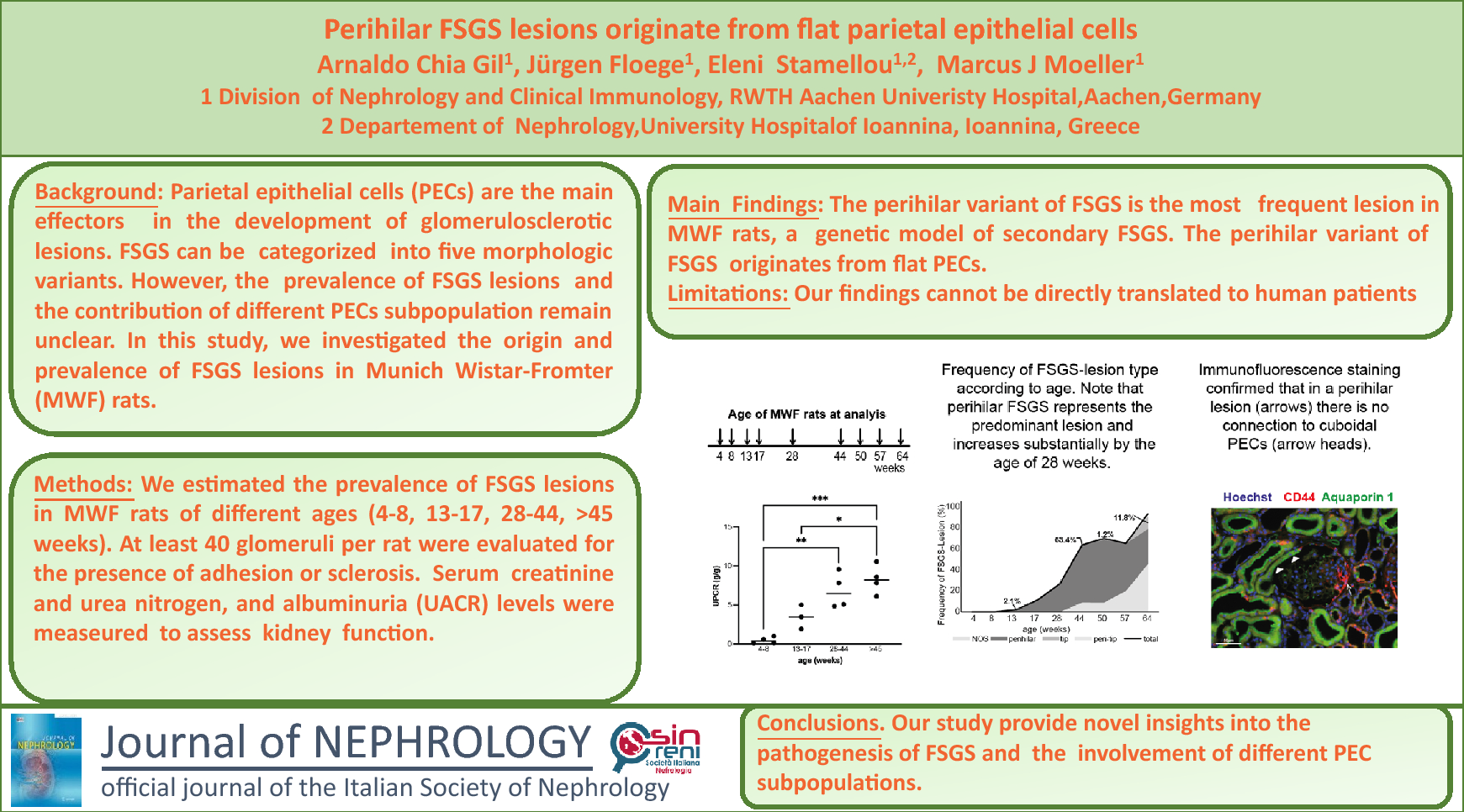 Perihilar FSGS lesions originate from flat parietal epithelial cells