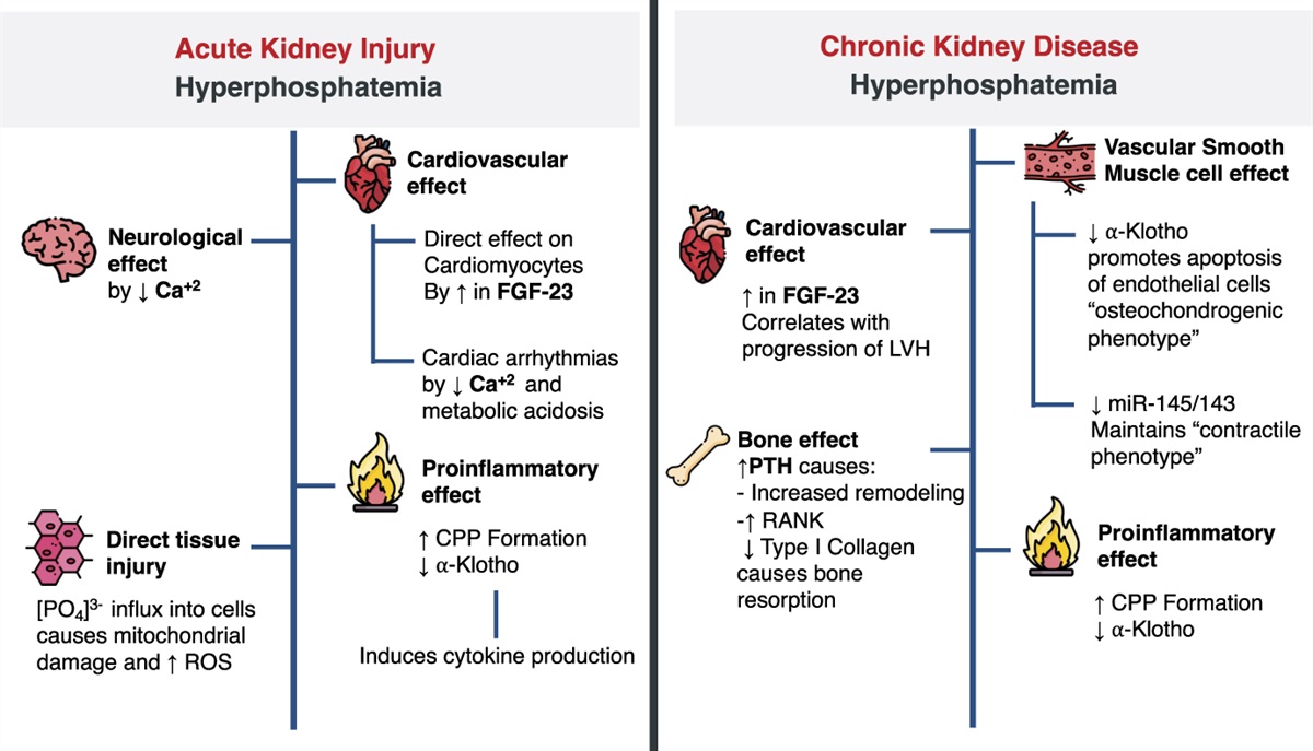 Prophylactic Phosphate Restriction: A Strategy to Mitigate AKI-Associated Complications