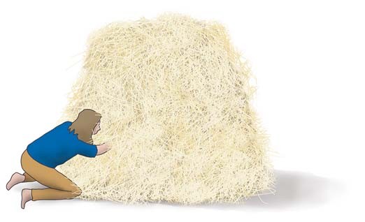 Finding the needle in the haystack