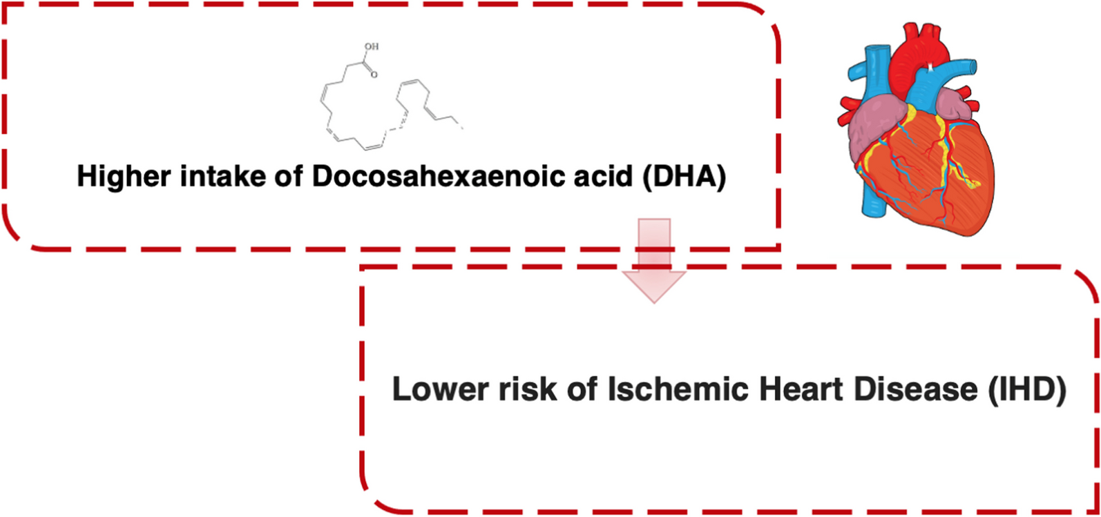 Association of dietary fats with ischemic heart disease (IHD): a case–control study