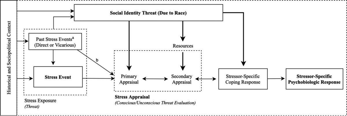 All Stressors Are Not Equal: The Salience of Racial Discrimination and Appraisal for Blood Pressure in African American Women
