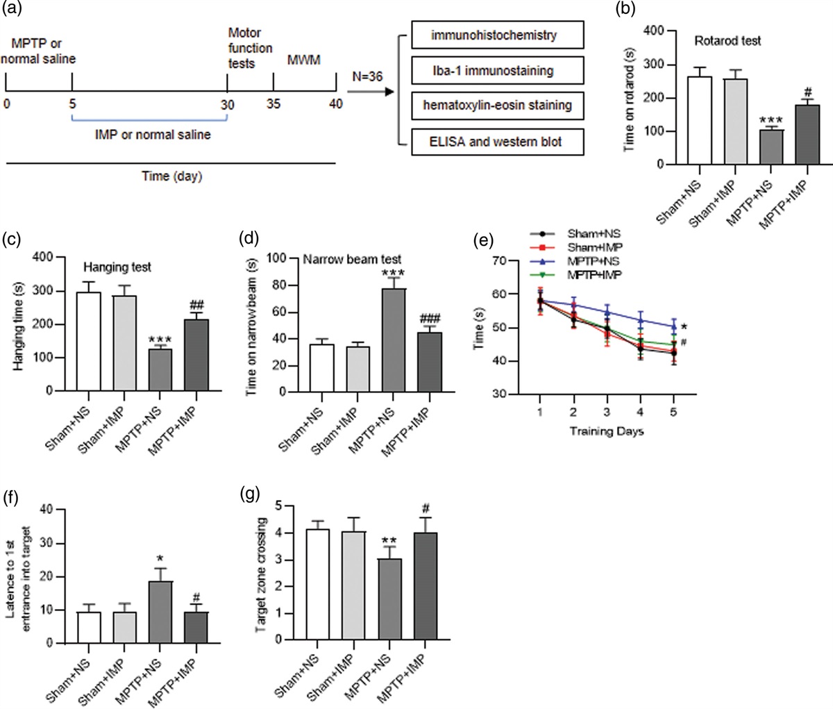 Imperatorin inhibits oxidative stress injury and neuroinflammation via the PI3K/AKT signaling pathway in the MPTP-induced Parkinson’s disease mouse