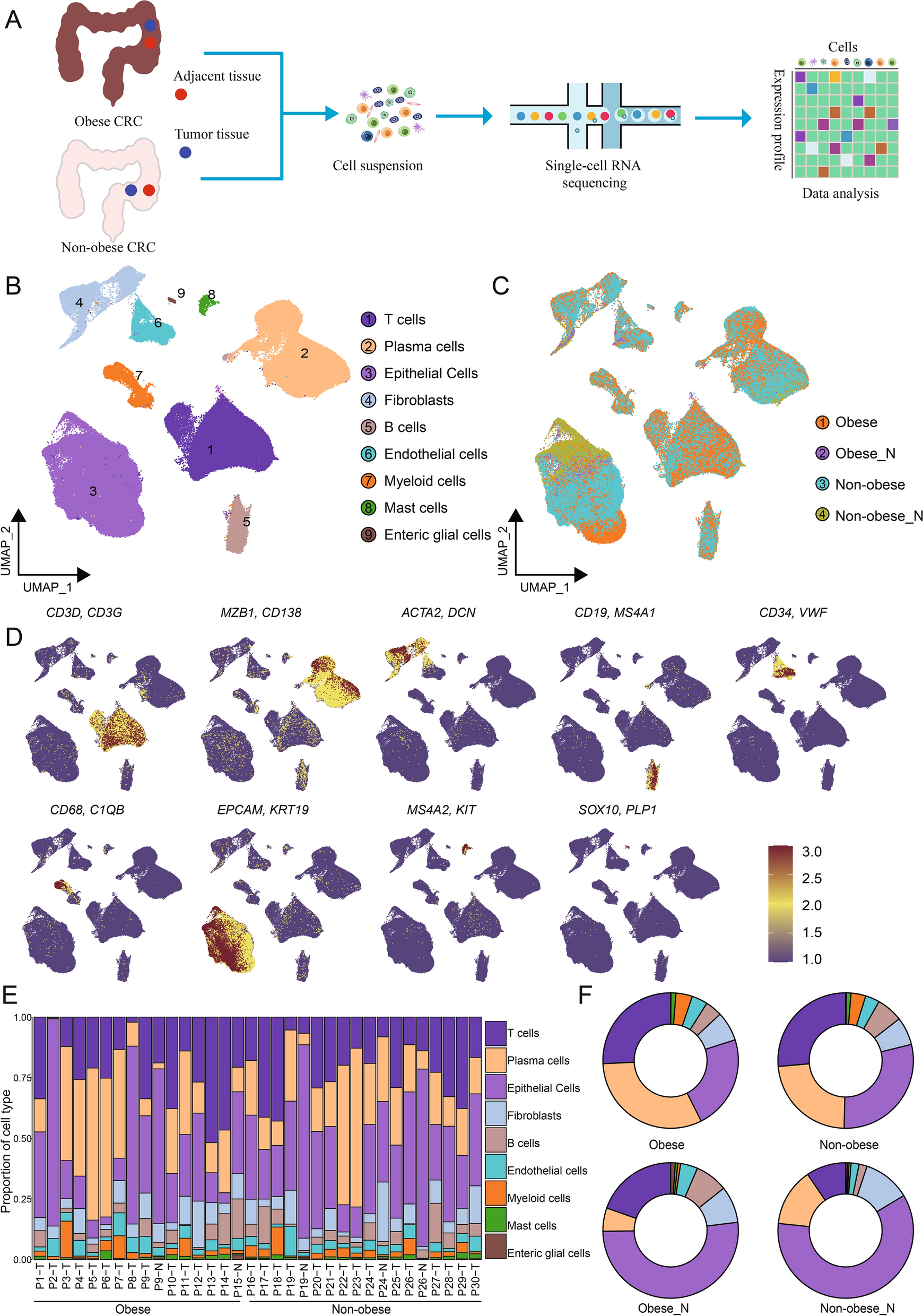 Single-cell transcriptome analysis reveals immunosuppressive landscape in overweight and obese colorectal cancer