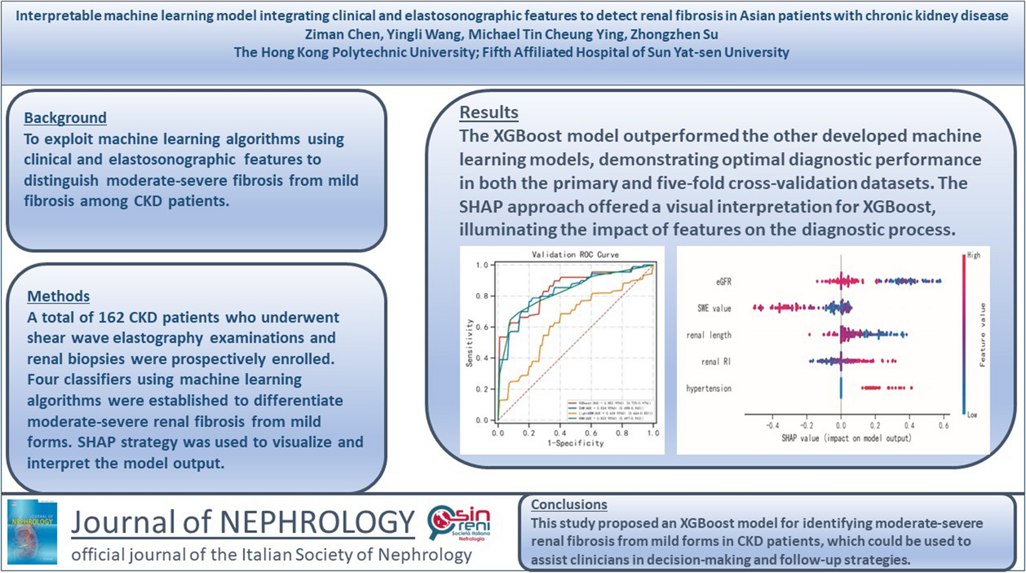 Interpretable machine learning model integrating clinical and elastosonographic features to detect renal fibrosis in Asian patients with chronic kidney disease
