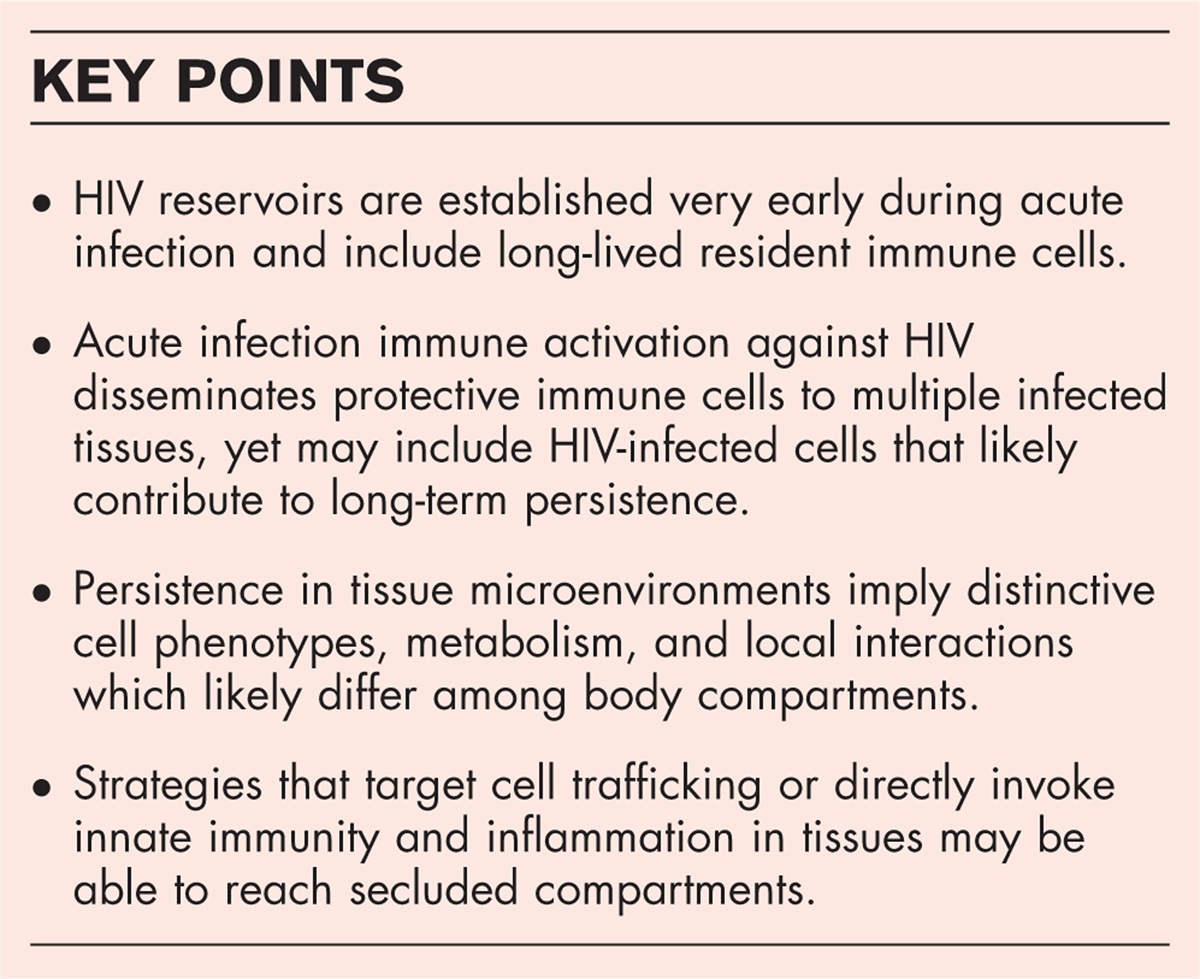Targeting HIV persistence in the tissue
