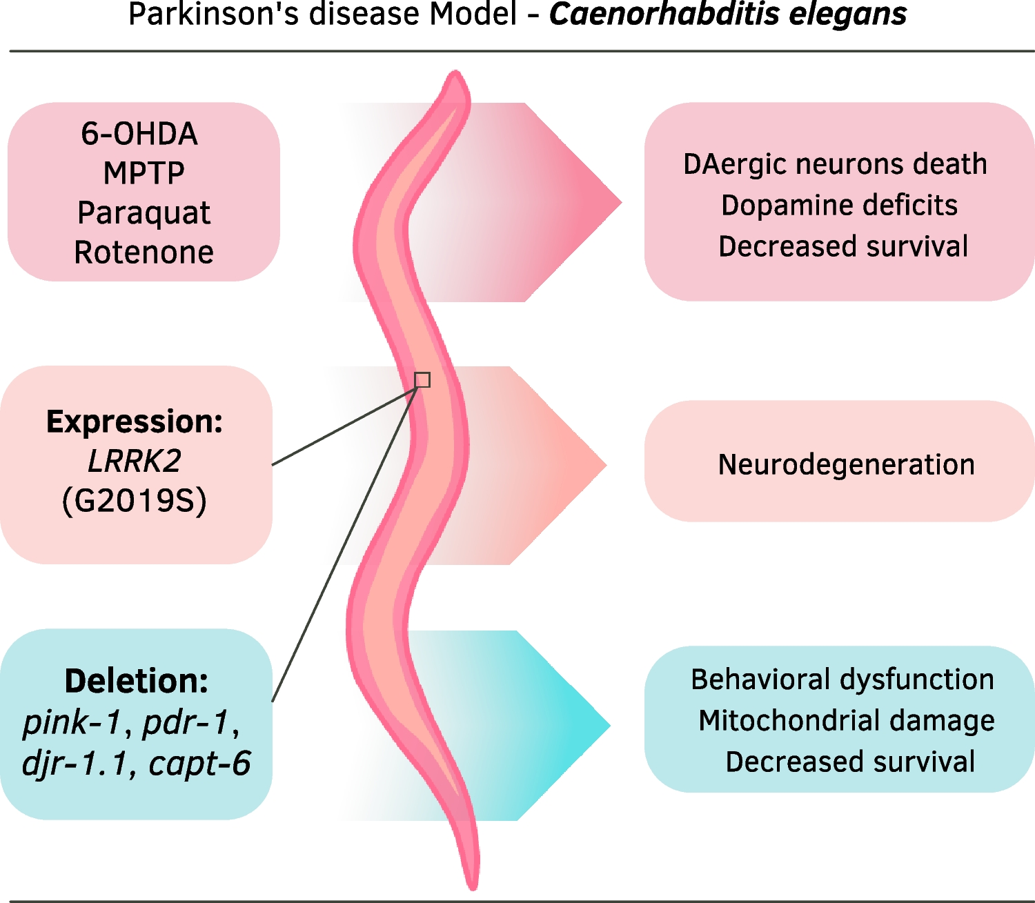 Exploring Caenorhabditis elegans as Parkinson’s Disease Model: Neurotoxins and Genetic Implications
