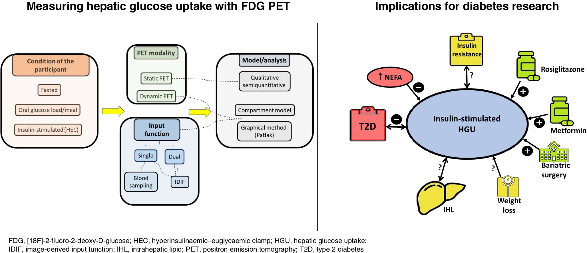 Advances and challenges in measuring hepatic glucose uptake with FDG PET: implications for diabetes research