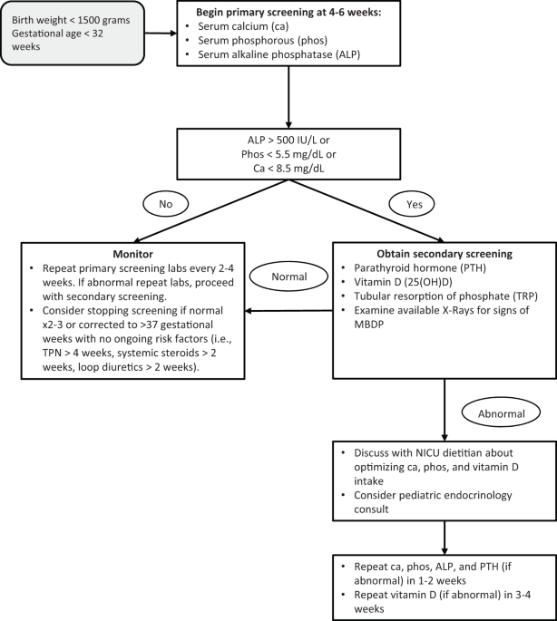 Metabolic bone disease of prematurity screening and individualized enteral mineral supplementation in high-risk neonates: a quality improvement initiative