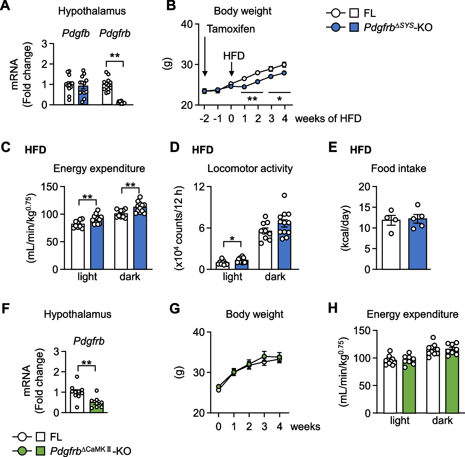 Platelet-derived growth factor signaling in pericytes promotes hypothalamic inflammation and obesity