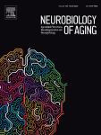 Longitudinal support for the correlative triad among aging, dopamine D2-like receptor loss, and memory decline