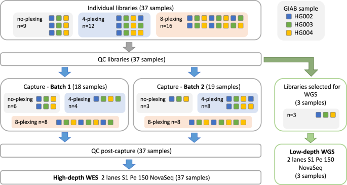 A cost-effective sequencing method for genetic studies combining high-depth whole exome and low-depth whole genome
