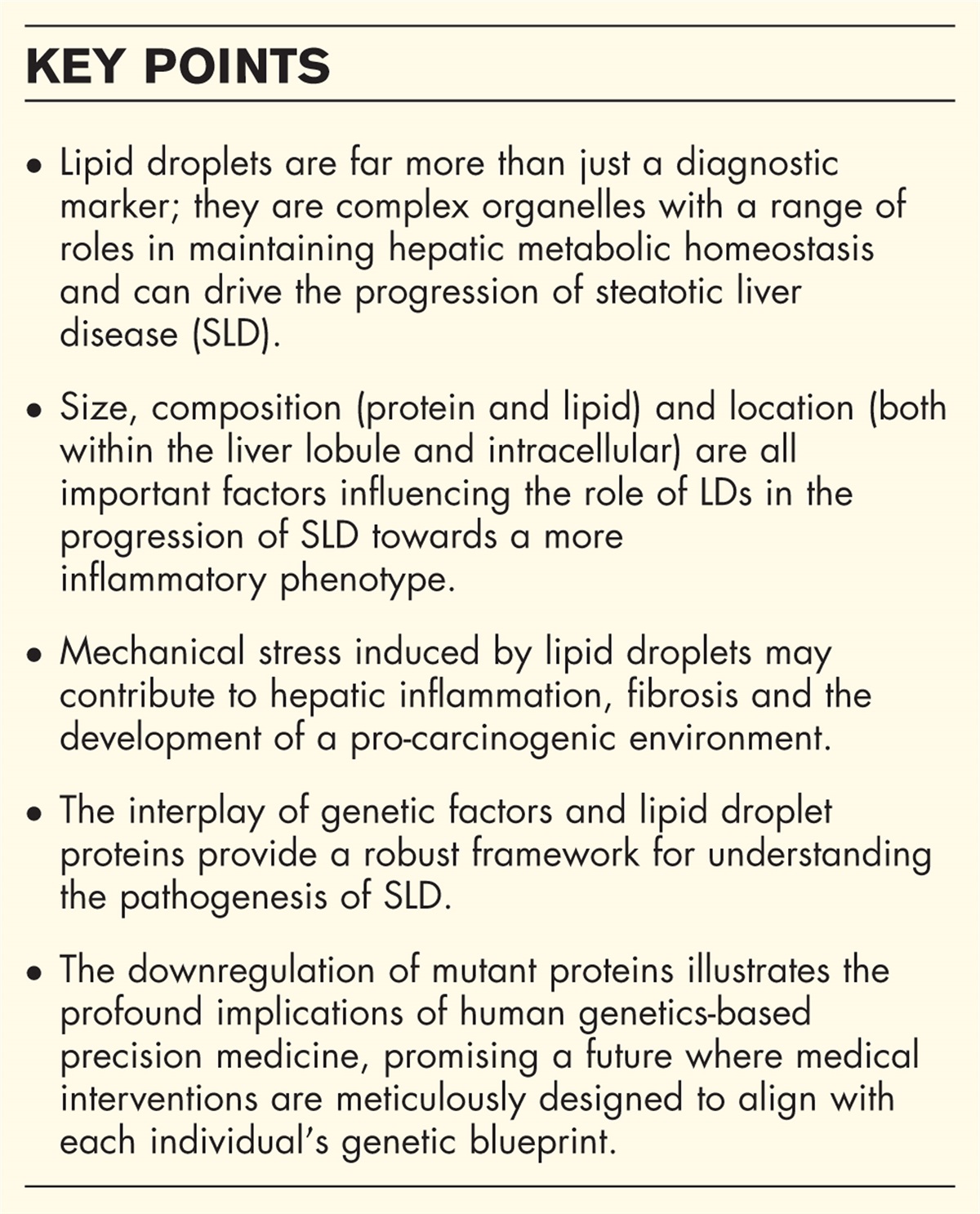 Lipid droplets in steatotic liver disease