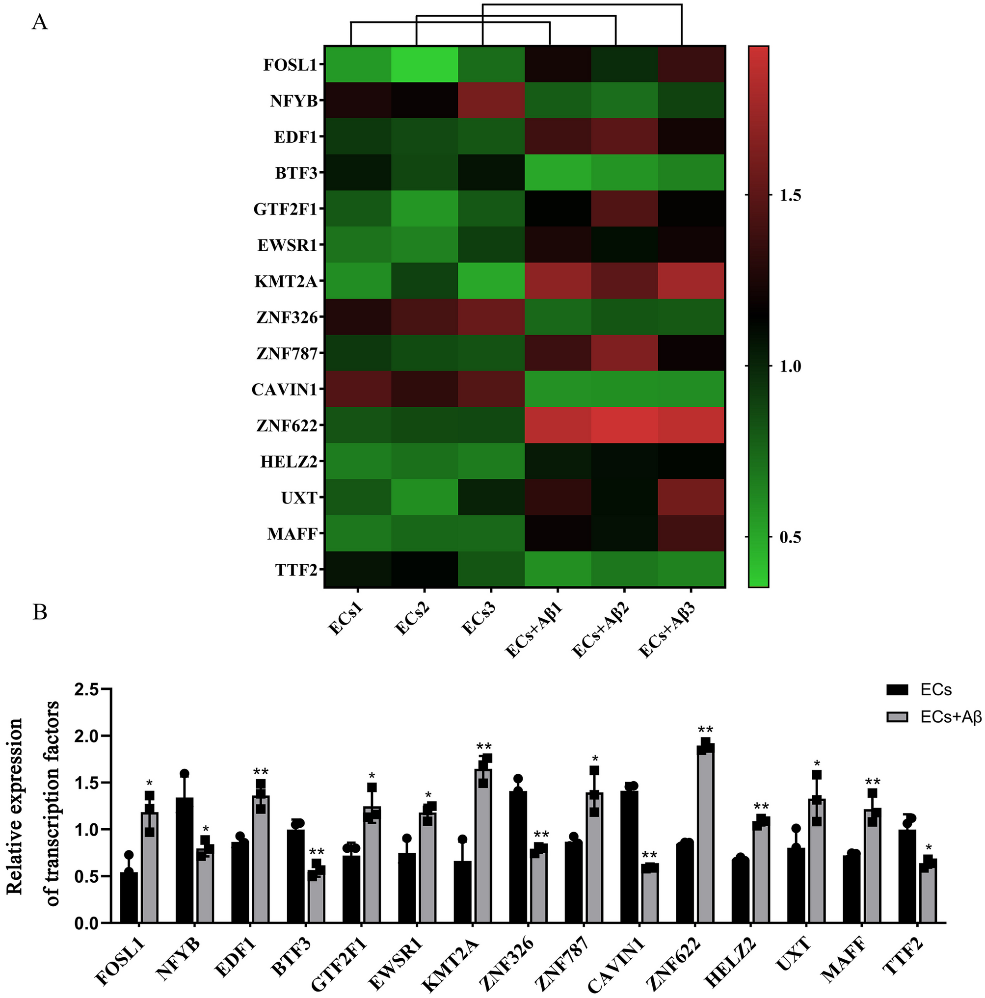 ZNF787 and HDAC1 Mediate Blood–Brain Barrier Permeability in an In Vitro Model of Alzheimer’s Disease Microenvironment