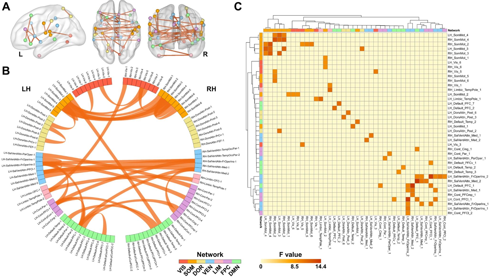 Uncovering brain functional connectivity disruption patterns of lung cancer-related pain