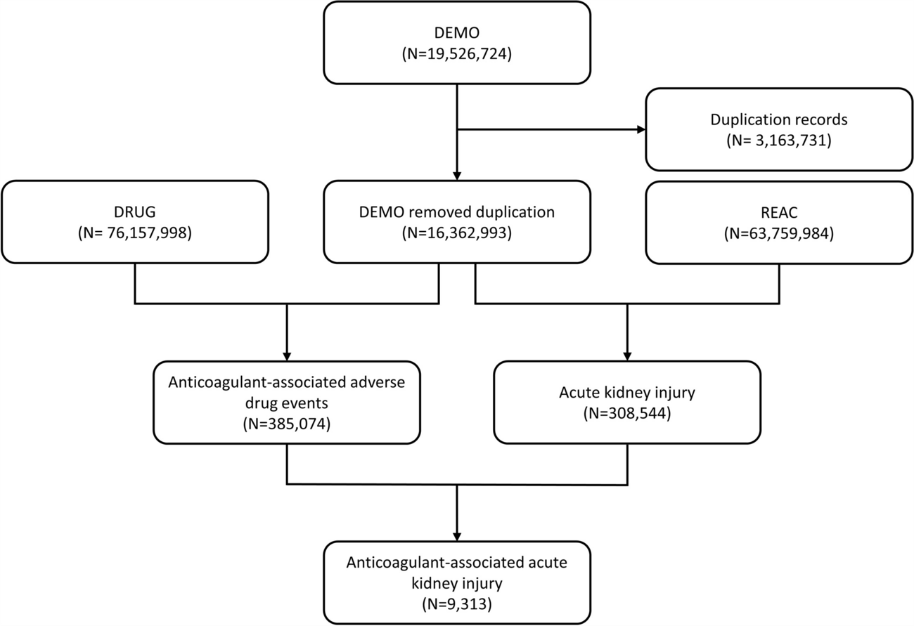 Acute Kidney Injury in Different Anticoagulation Strategies: A Large-Scale Pharmacoepidemiologic Study Using Real-World Data