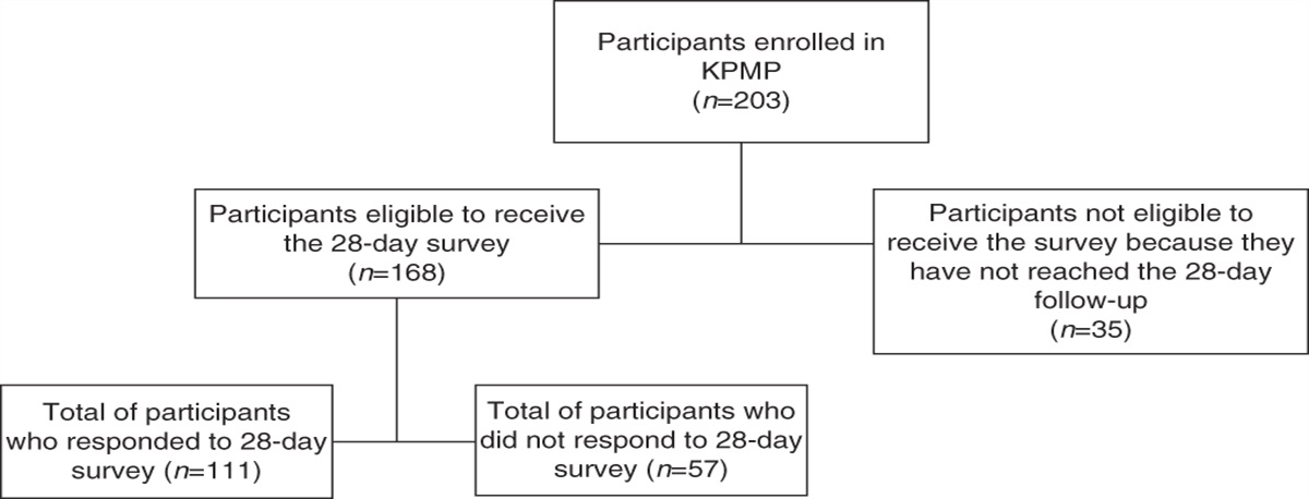 Participant Experience with Protocol Research Kidney Biopsies in the Kidney Precision Medicine Project