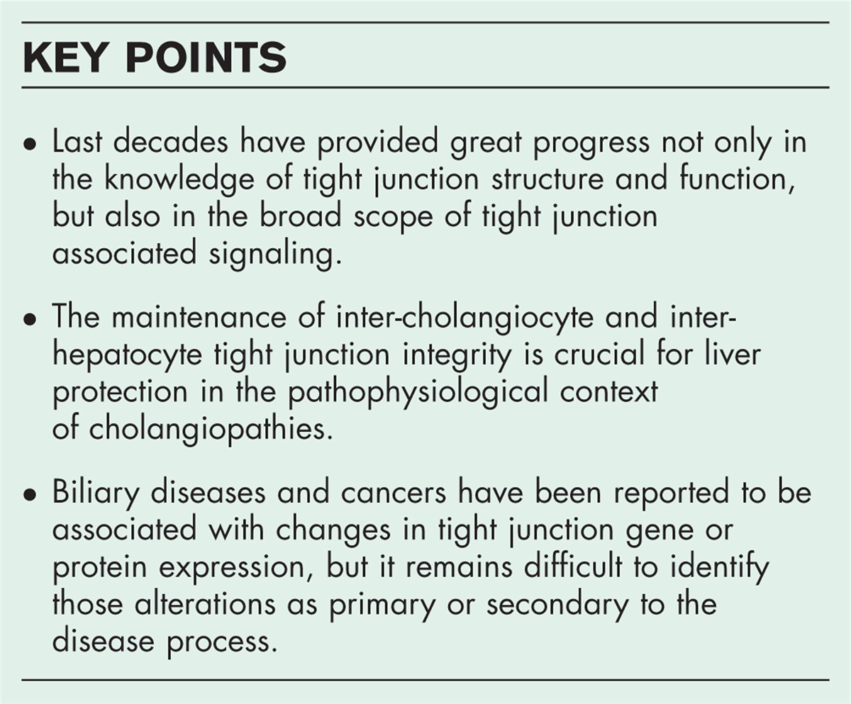 Tight junction proteins and biliary diseases