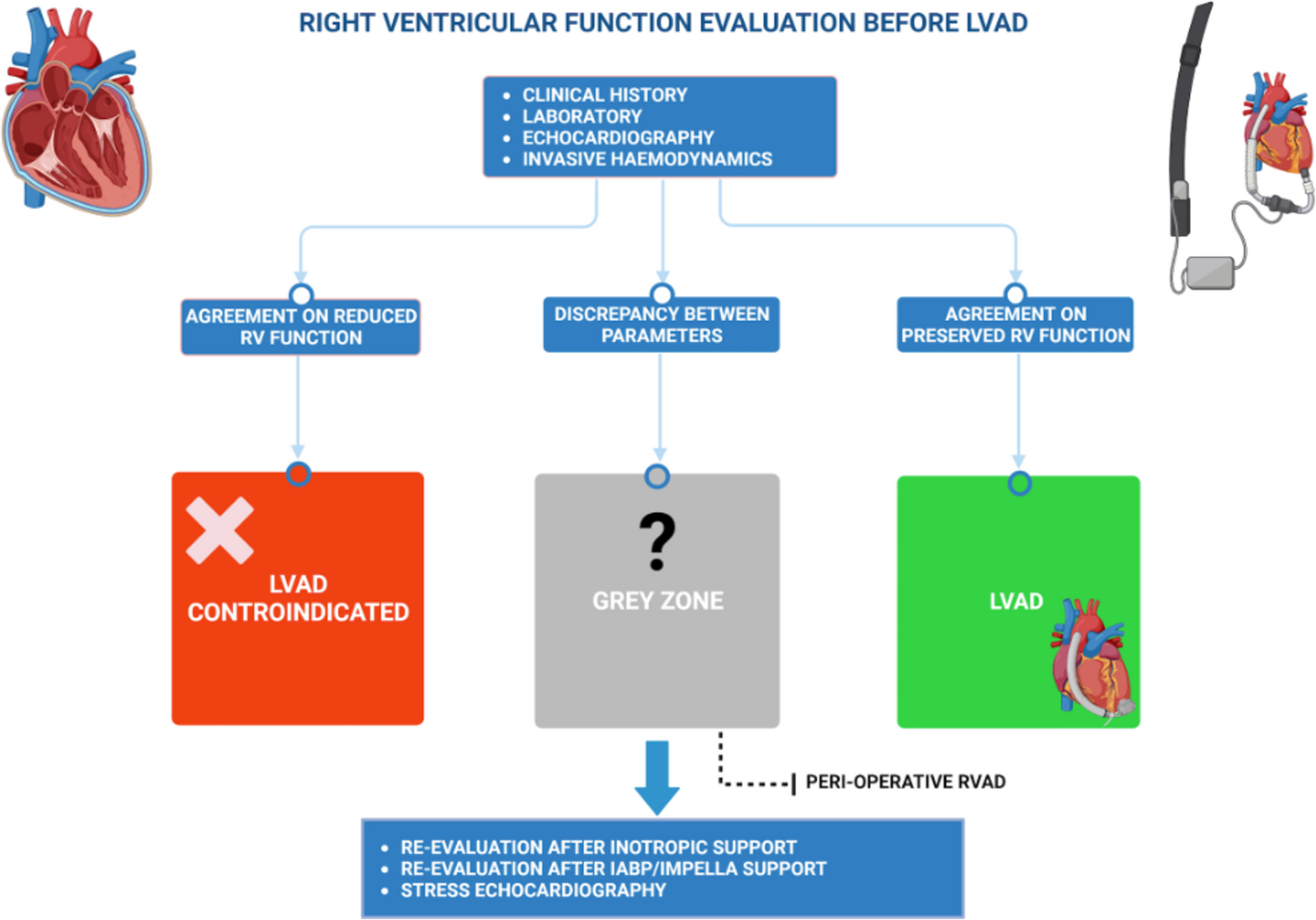 Right ventricular dysfunction in left ventricular assist device candidates: is it time to change our prospective?