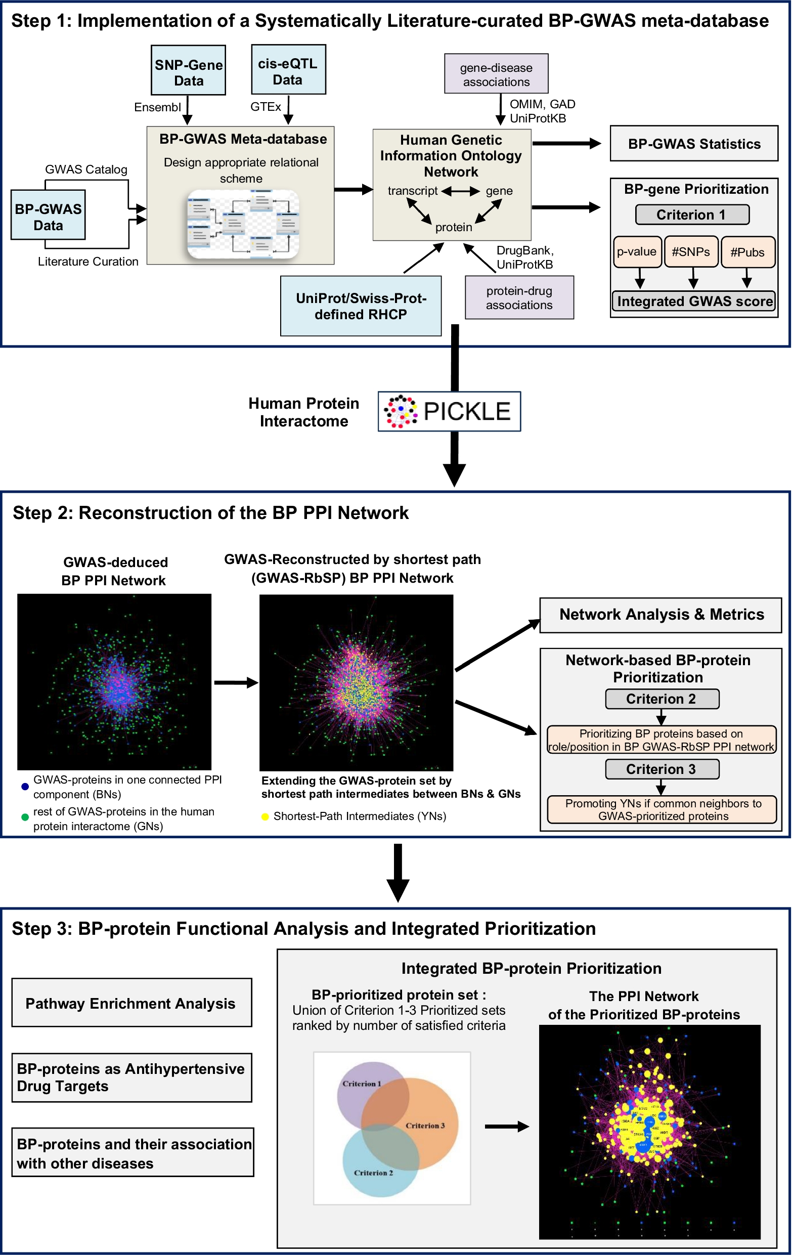 Protein–protein interaction network-based integration of GWAS and functional data for blood pressure regulation analysis