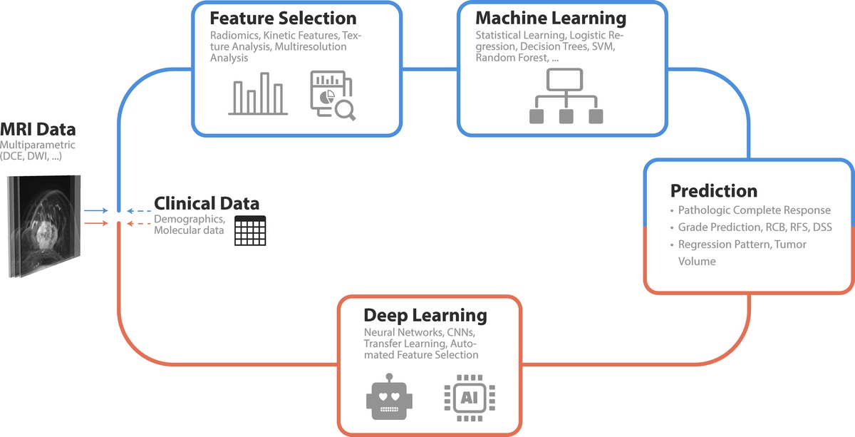 Artificial Intelligence-Enhanced Breast MRI: Applications in Breast Cancer Primary Treatment Response Assessment and Prediction