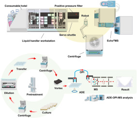 Automated and integrated ultrahigh throughput industrial strain screening enabled by acoustic-droplet-ejection mass spectrometry