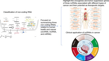 Non-coding RNAs as therapeutic targets in cancer and its clinical application