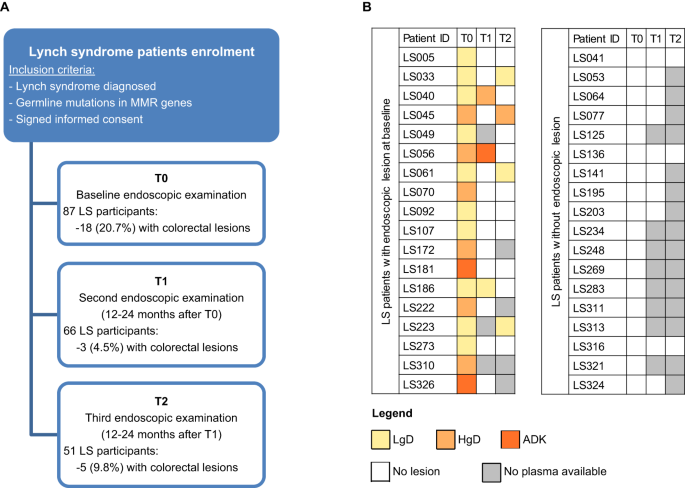 Detection of (pre)cancerous colorectal lesions in Lynch syndrome patients by microsatellite instability liquid biopsy