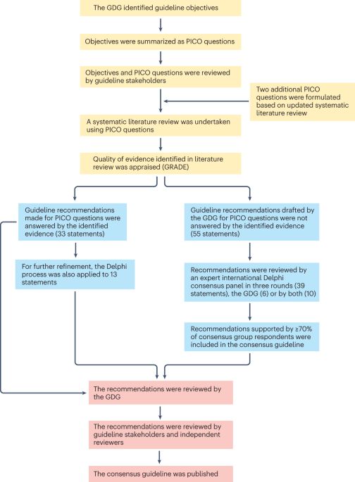 Consensus guideline for the diagnosis and management of pituitary adenomas in childhood and adolescence: Part 1, general recommendations