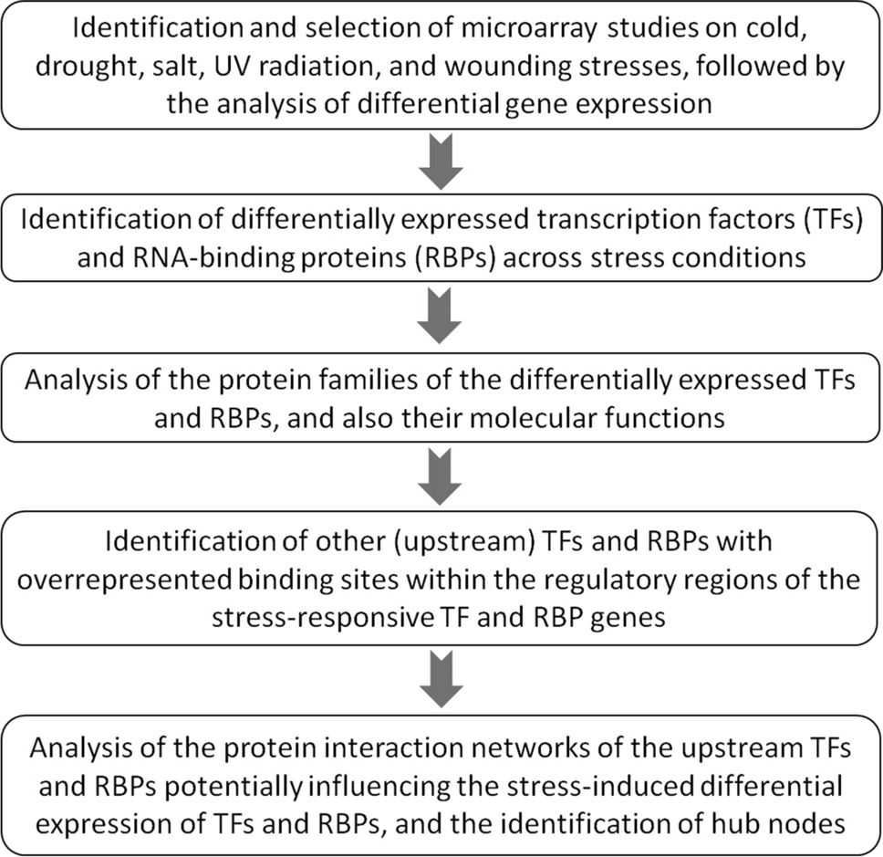 Transcriptome meta-analysis-based identification of hub transcription factors and RNA-binding proteins potentially orchestrating gene regulatory cascades and crosstalk in response to abiotic stresses in Arabidopsis thaliana