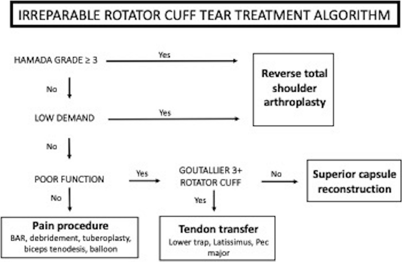 Surgical Management of Massive Irreparable Cuff Tears: Superior Capsule Reconstruction and Rotator Cable Reconstruction